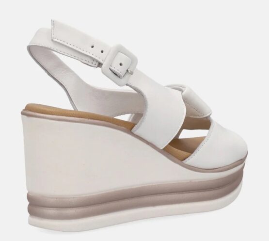 2418 Susimoda - immagine 3